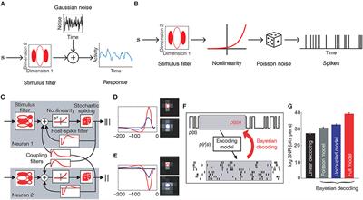 Probabilistic Encoding Models for Multivariate Neural Data